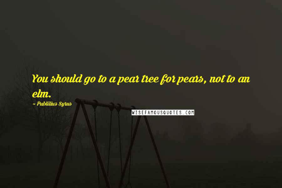 Publilius Syrus Quotes: You should go to a pear tree for pears, not to an elm.