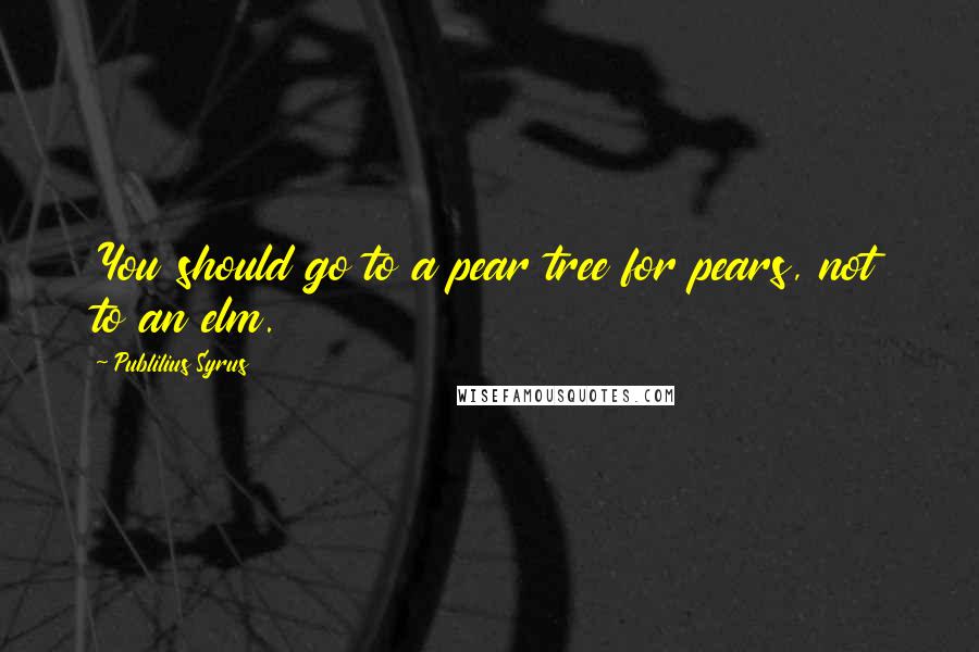 Publilius Syrus Quotes: You should go to a pear tree for pears, not to an elm.
