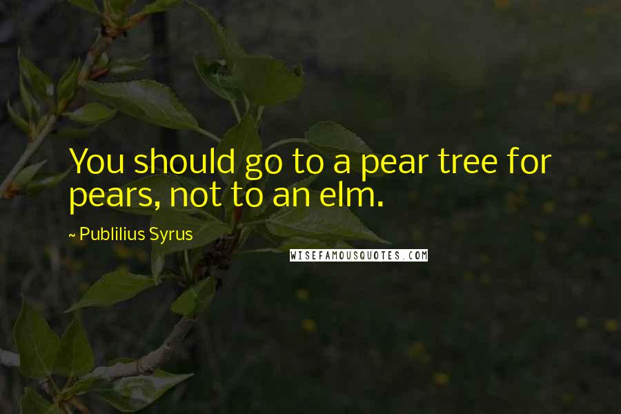 Publilius Syrus Quotes: You should go to a pear tree for pears, not to an elm.