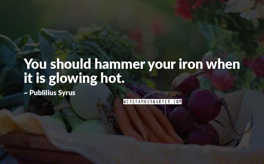 Publilius Syrus Quotes: You should hammer your iron when it is glowing hot.