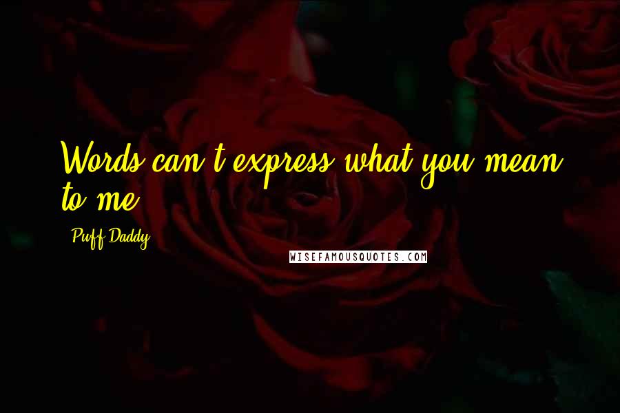 Puff Daddy Quotes: Words can't express what you mean to me.