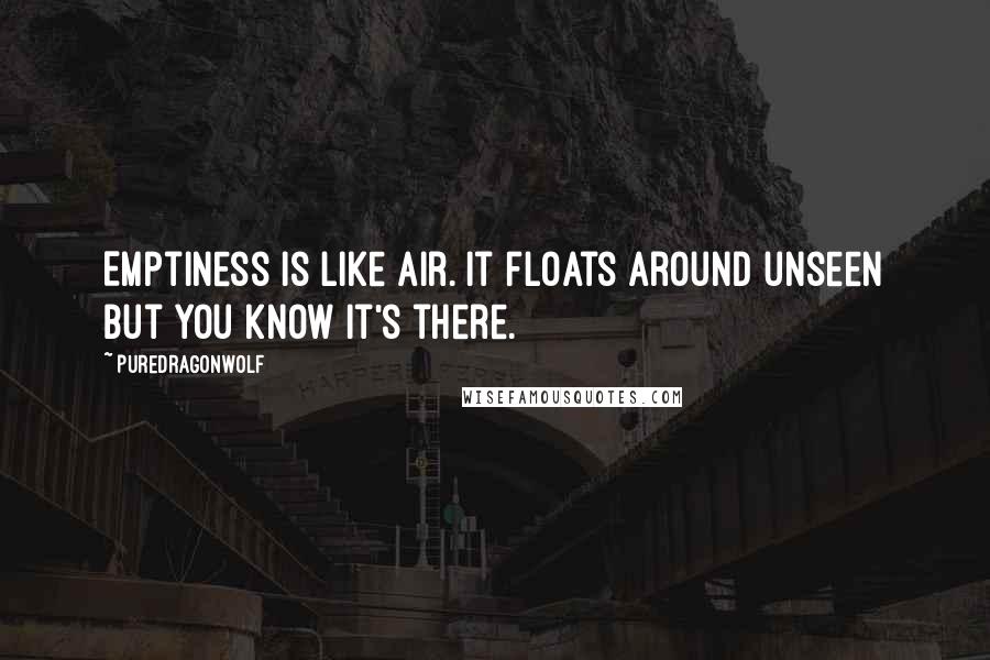 PureDragonWolf Quotes: Emptiness is like air. It floats around unseen but you know it's there.