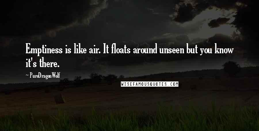 PureDragonWolf Quotes: Emptiness is like air. It floats around unseen but you know it's there.