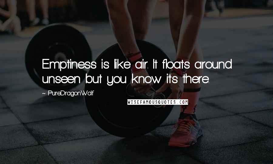 PureDragonWolf Quotes: Emptiness is like air. It floats around unseen but you know it's there.