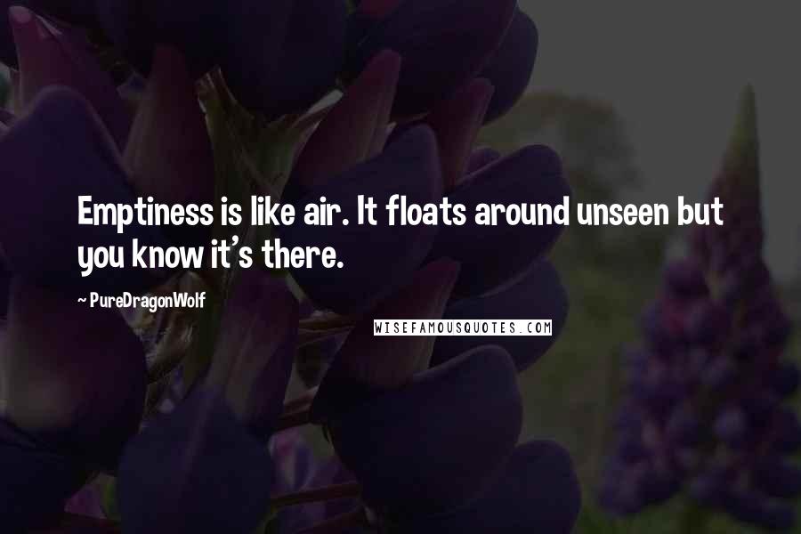 PureDragonWolf Quotes: Emptiness is like air. It floats around unseen but you know it's there.