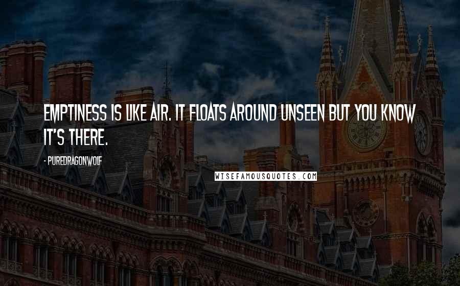 PureDragonWolf Quotes: Emptiness is like air. It floats around unseen but you know it's there.