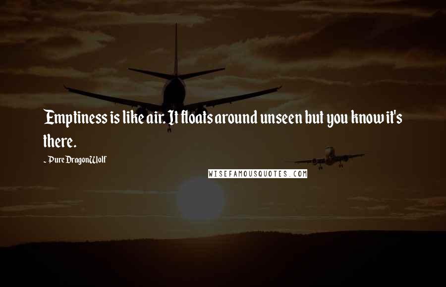 PureDragonWolf Quotes: Emptiness is like air. It floats around unseen but you know it's there.