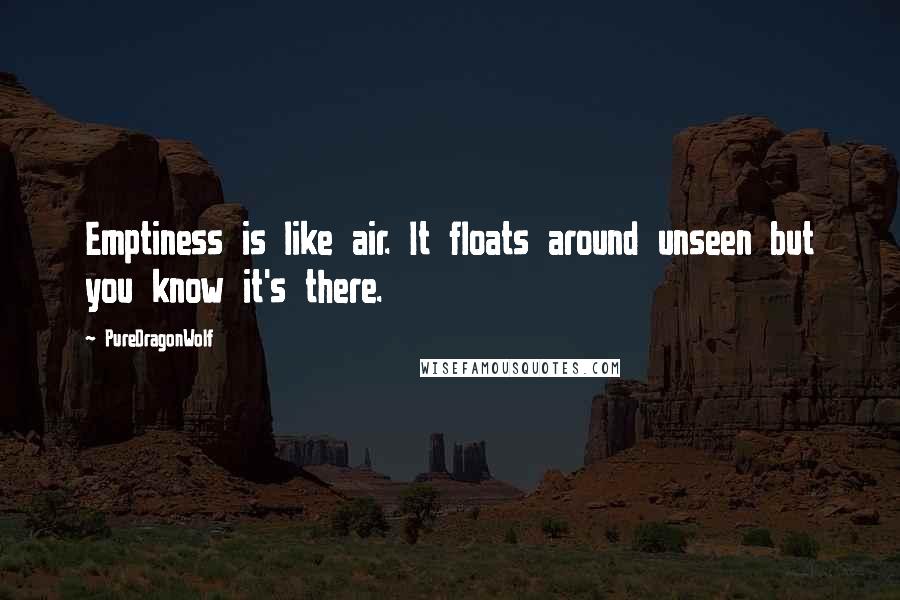 PureDragonWolf Quotes: Emptiness is like air. It floats around unseen but you know it's there.