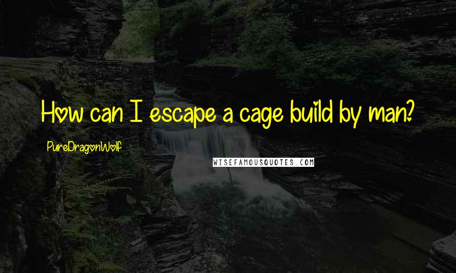 PureDragonWolf Quotes: How can I escape a cage build by man?