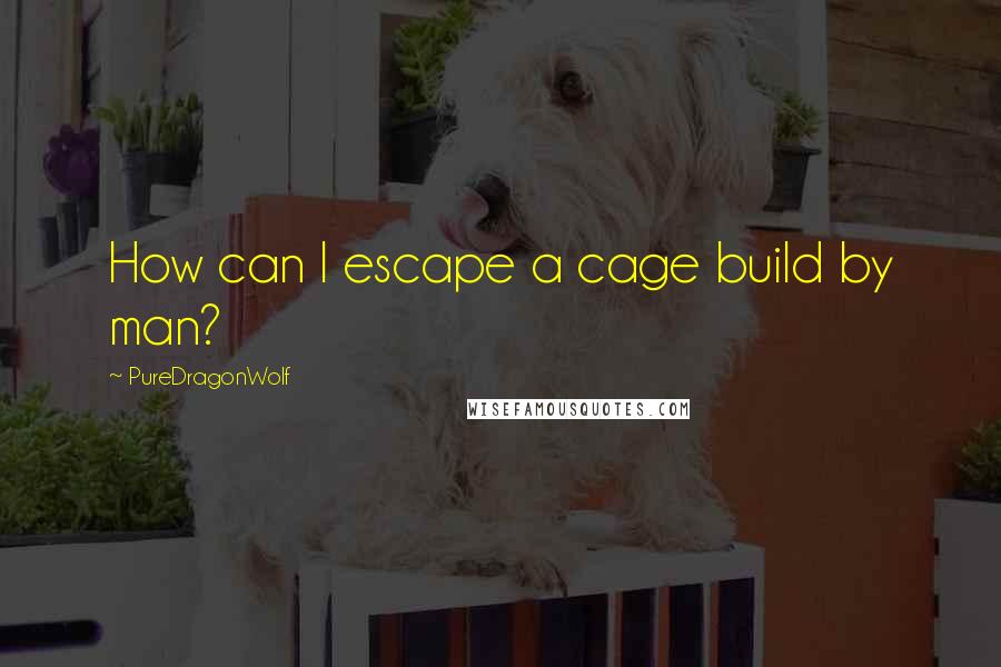 PureDragonWolf Quotes: How can I escape a cage build by man?