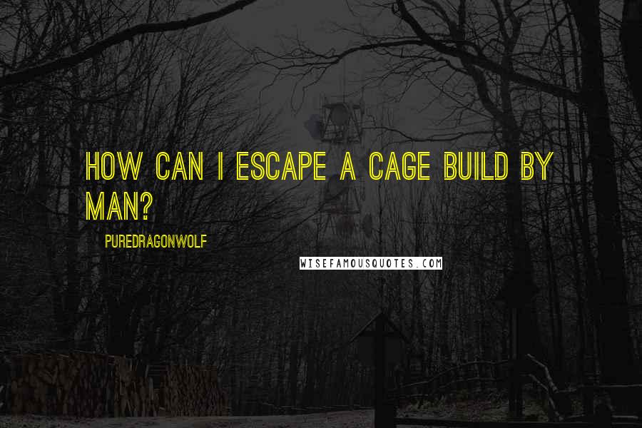 PureDragonWolf Quotes: How can I escape a cage build by man?
