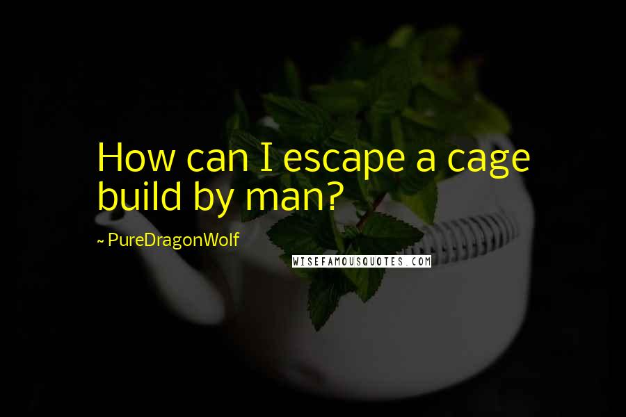 PureDragonWolf Quotes: How can I escape a cage build by man?