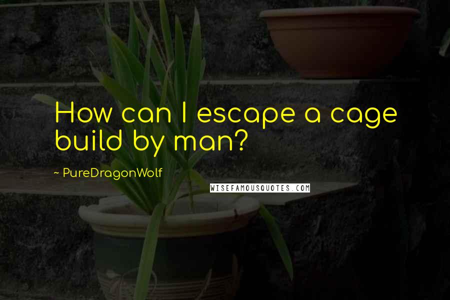 PureDragonWolf Quotes: How can I escape a cage build by man?