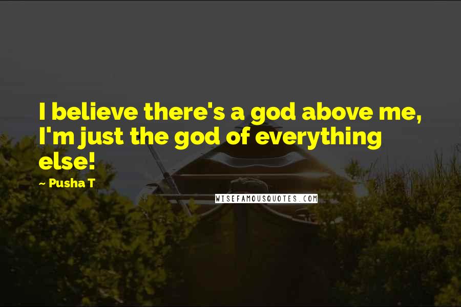 Pusha T Quotes: I believe there's a god above me, I'm just the god of everything else!