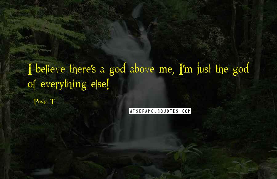 Pusha T Quotes: I believe there's a god above me, I'm just the god of everything else!