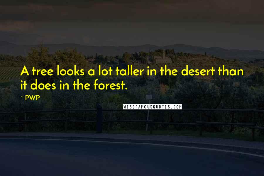 PWP Quotes: A tree looks a lot taller in the desert than it does in the forest.