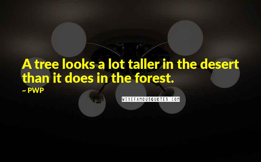 PWP Quotes: A tree looks a lot taller in the desert than it does in the forest.