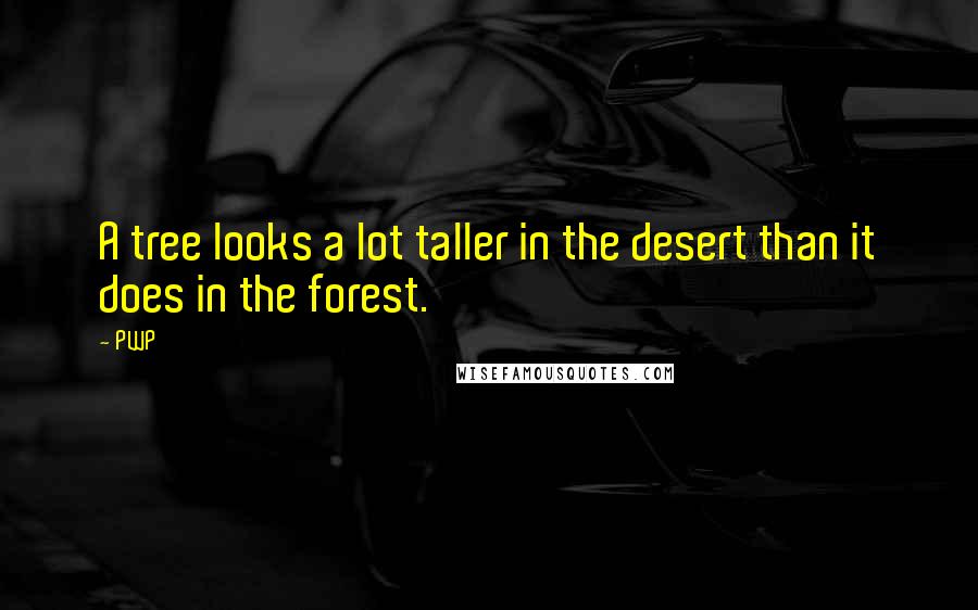 PWP Quotes: A tree looks a lot taller in the desert than it does in the forest.