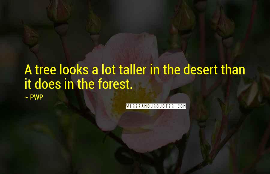 PWP Quotes: A tree looks a lot taller in the desert than it does in the forest.
