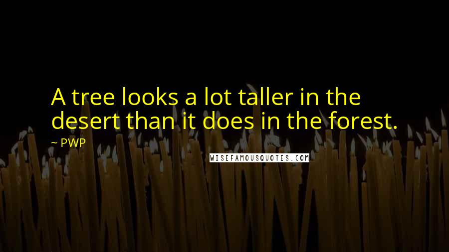 PWP Quotes: A tree looks a lot taller in the desert than it does in the forest.