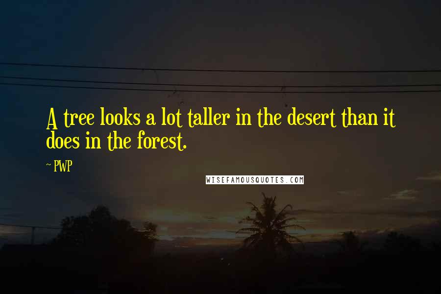 PWP Quotes: A tree looks a lot taller in the desert than it does in the forest.