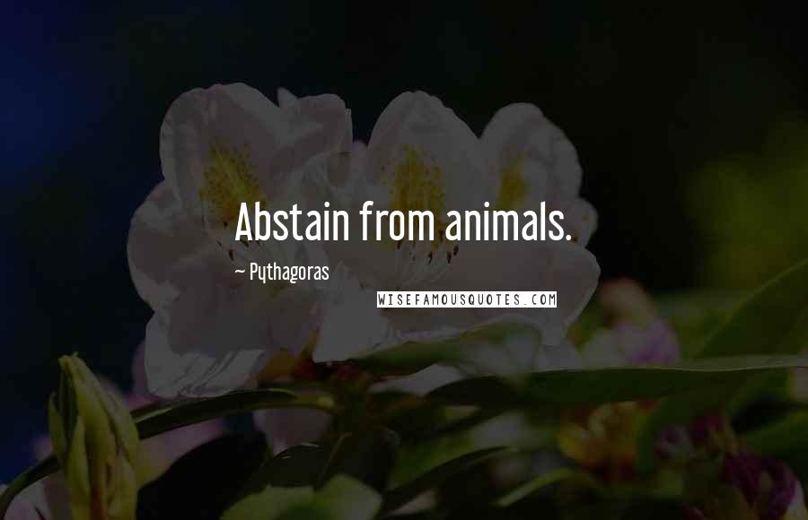Pythagoras Quotes: Abstain from animals.