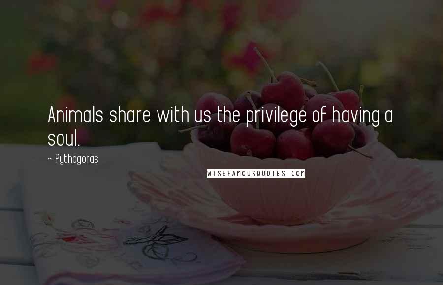 Pythagoras Quotes: Animals share with us the privilege of having a soul.