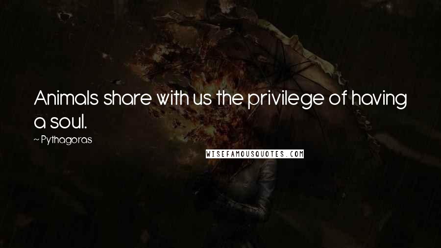 Pythagoras Quotes: Animals share with us the privilege of having a soul.