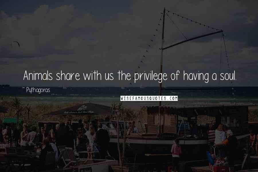 Pythagoras Quotes: Animals share with us the privilege of having a soul.