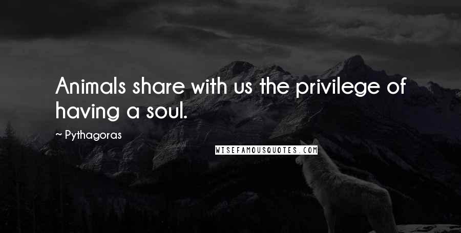 Pythagoras Quotes: Animals share with us the privilege of having a soul.