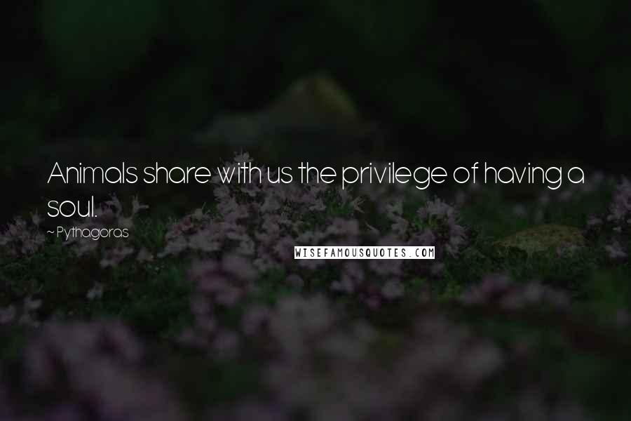 Pythagoras Quotes: Animals share with us the privilege of having a soul.