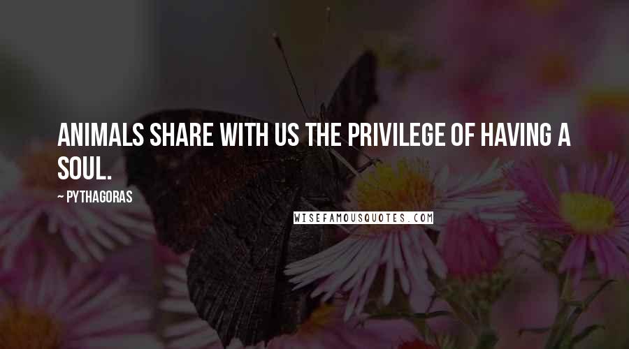 Pythagoras Quotes: Animals share with us the privilege of having a soul.