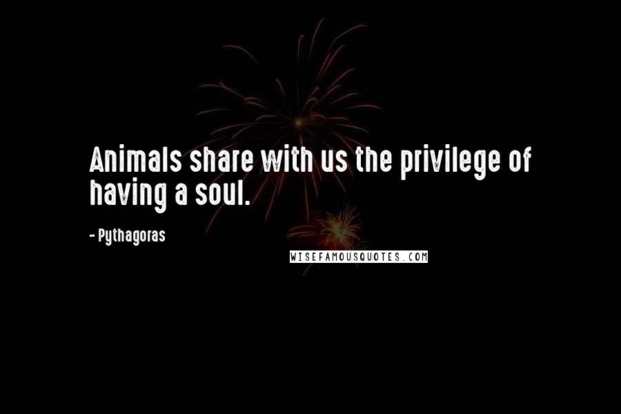 Pythagoras Quotes: Animals share with us the privilege of having a soul.