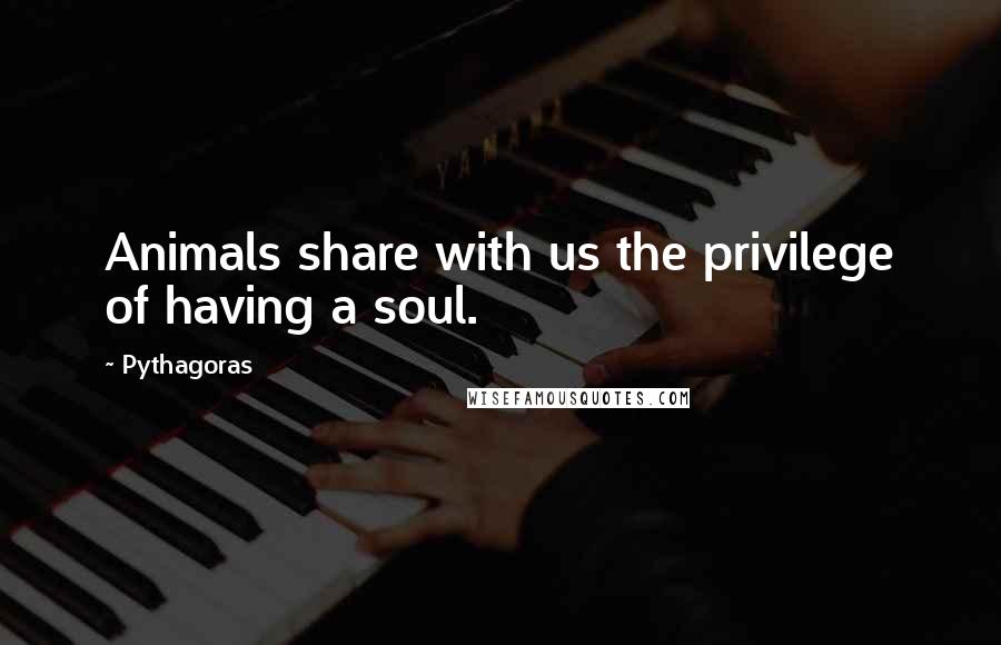 Pythagoras Quotes: Animals share with us the privilege of having a soul.