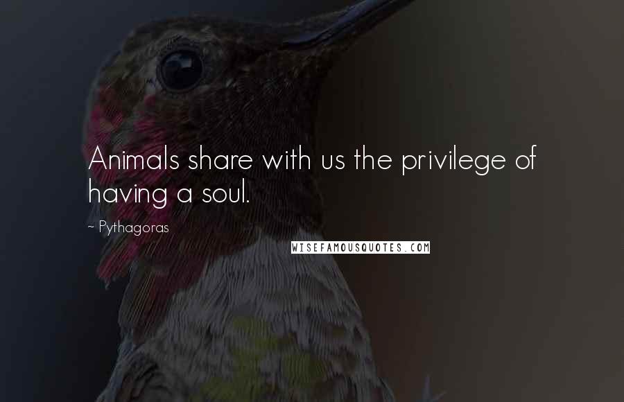 Pythagoras Quotes: Animals share with us the privilege of having a soul.