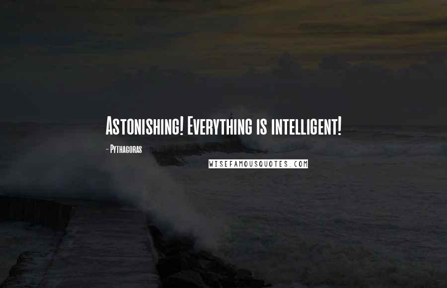 Pythagoras Quotes: Astonishing! Everything is intelligent!