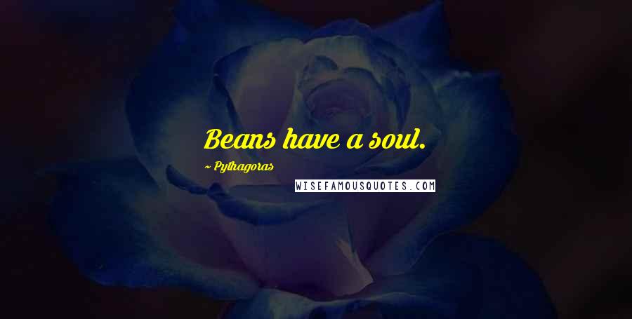 Pythagoras Quotes: Beans have a soul.