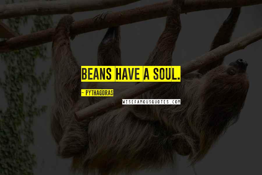 Pythagoras Quotes: Beans have a soul.