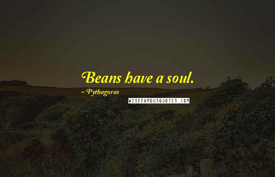 Pythagoras Quotes: Beans have a soul.