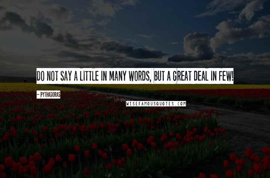 Pythagoras Quotes: Do not say a little in many words, but a great deal in few!