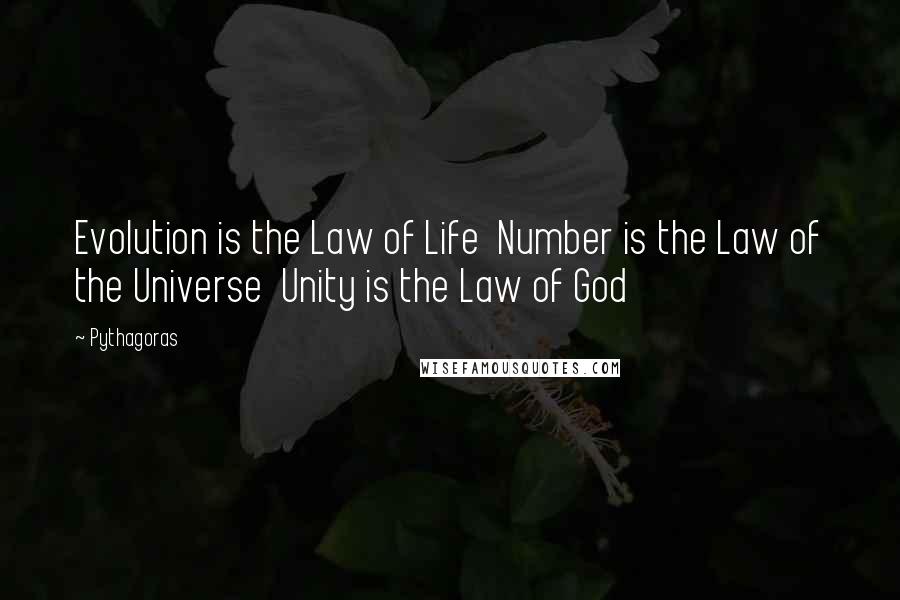 Pythagoras Quotes: Evolution is the Law of Life Number is the Law of the Universe Unity is the Law of God
