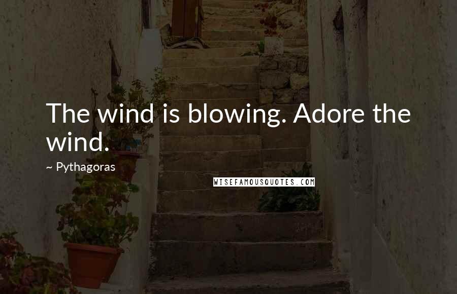 Pythagoras Quotes: The wind is blowing. Adore the wind.