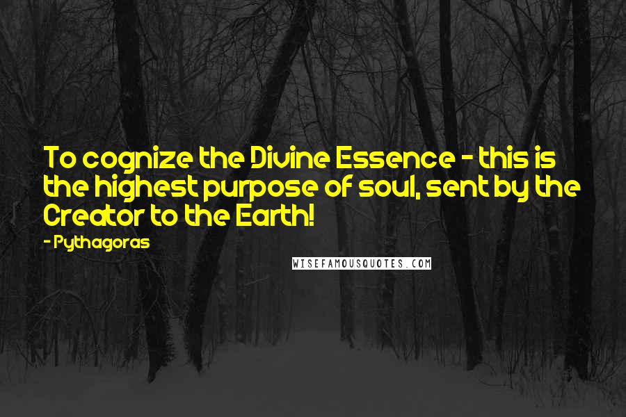 Pythagoras Quotes: To cognize the Divine Essence - this is the highest purpose of soul, sent by the Creator to the Earth!