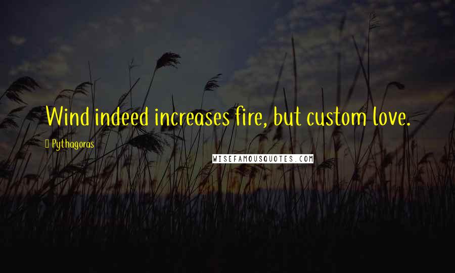 Pythagoras Quotes: Wind indeed increases fire, but custom love.