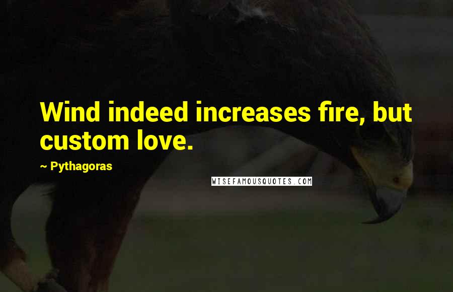 Pythagoras Quotes: Wind indeed increases fire, but custom love.