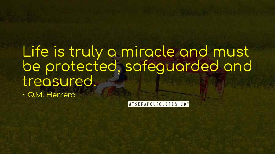 Q.M. Herrera Quotes: Life is truly a miracle and must be protected, safeguarded and treasured.