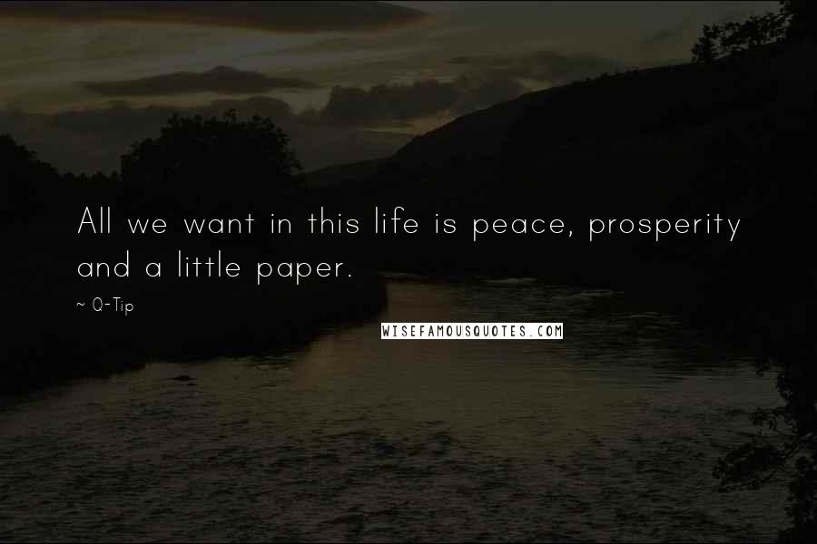 Q-Tip Quotes: All we want in this life is peace, prosperity and a little paper.