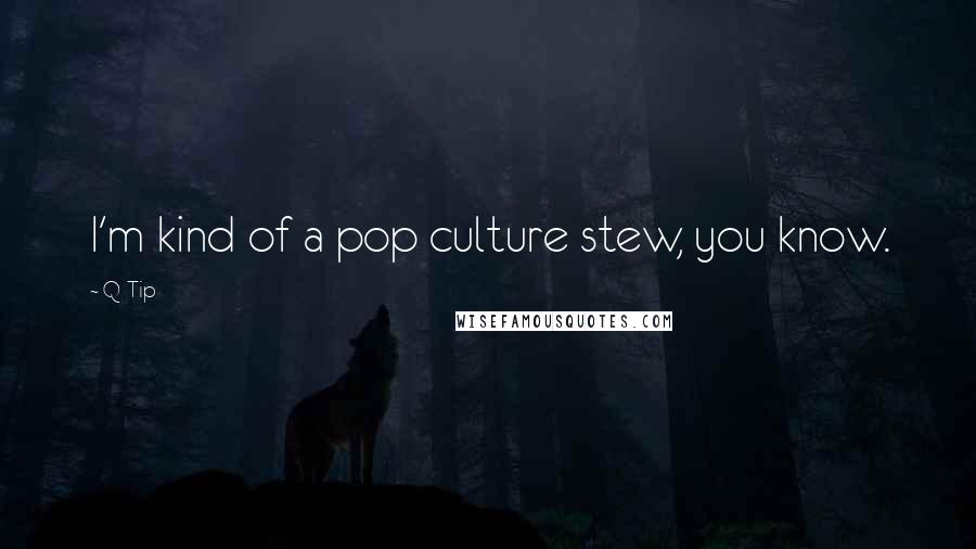 Q-Tip Quotes: I'm kind of a pop culture stew, you know.