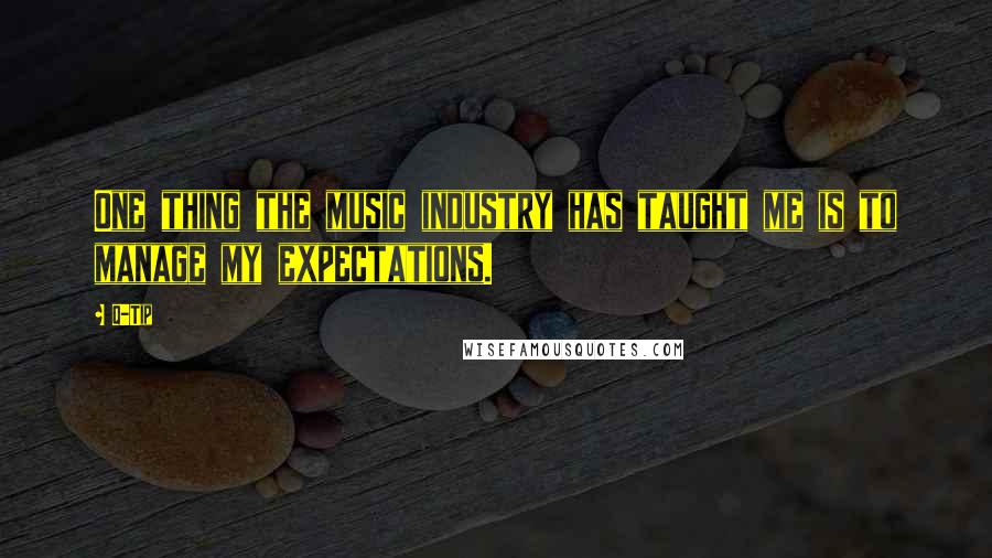 Q-Tip Quotes: One thing the music industry has taught me is to manage my expectations.