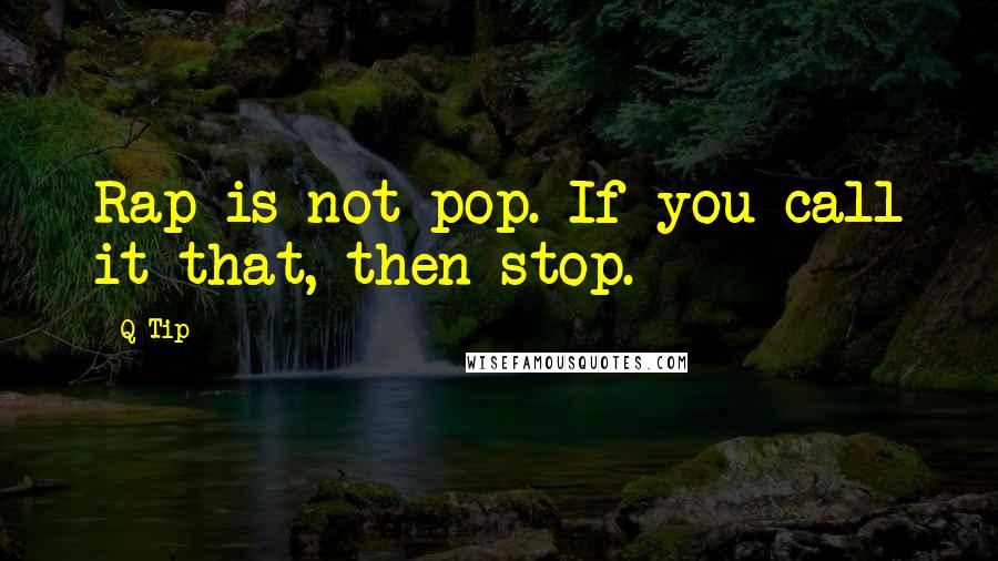 Q-Tip Quotes: Rap is not pop. If you call it that, then stop.